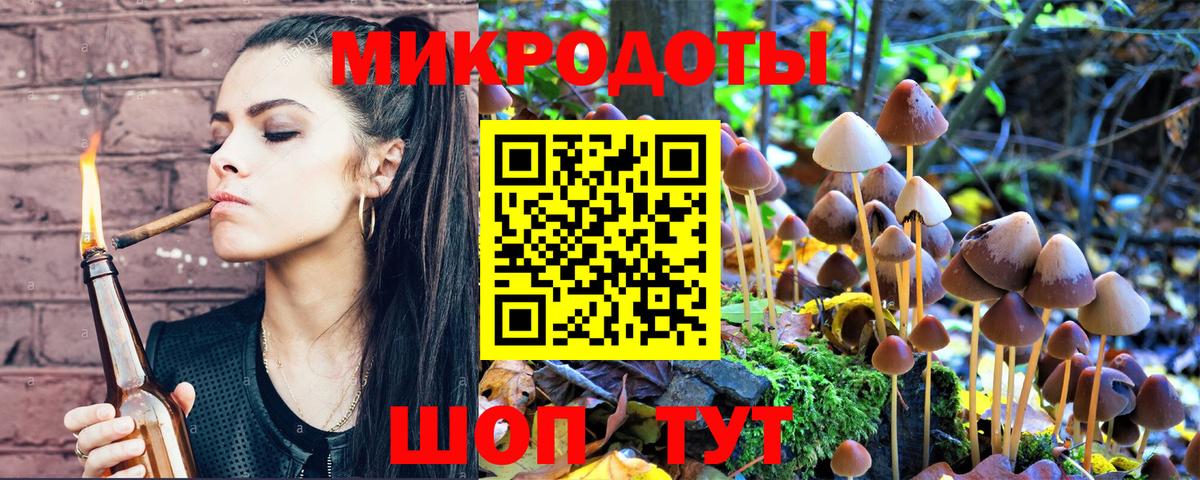 Псилоцибиновые грибы MAGIC MUSHROOMS  Вход с VPN  Петропавловск-Камчатский 